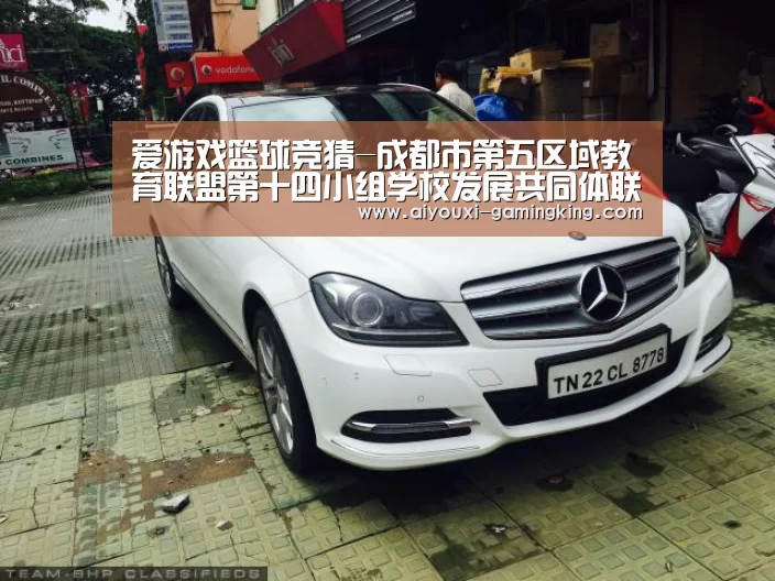 爱游戏篮球竞猜-成都市第五区域教育联盟第十四小组学校发展共同体联席会议在太平桥镇中心小学举行(图1) 爱游戏体育APP