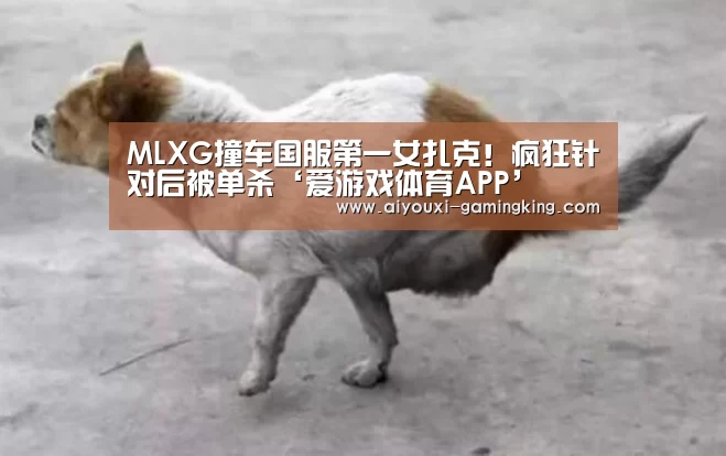 MLXG撞车国服第一女扎克！疯狂针对后被单杀‘爱游戏体育AP