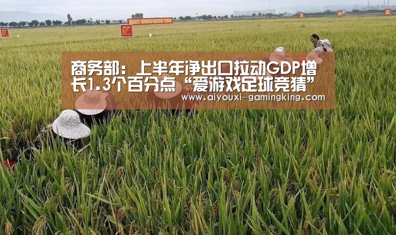 商务部:上半年净出口拉动GDP增长1.3个百分点“爱游戏足球竞猜”(图2) 爱游戏足球竞猜