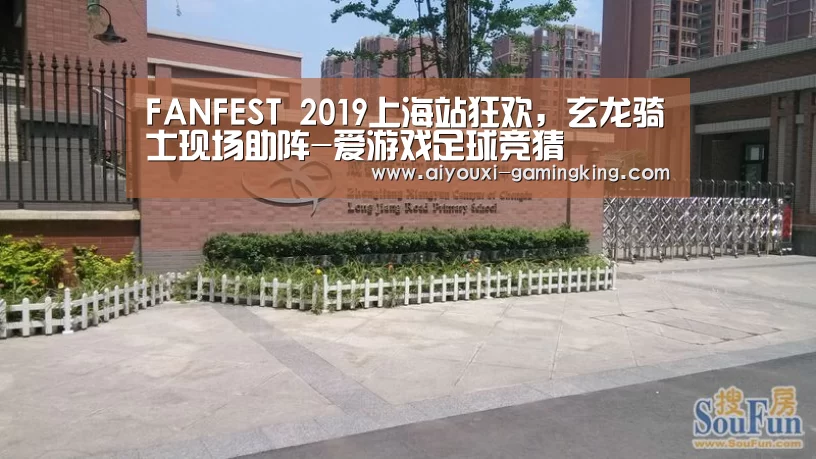 FANFEST 2019上海站狂欢，玄龙骑士现场助阵-爱游戏
