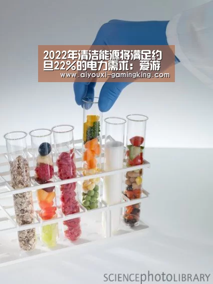 2022年清洁能源将满足约旦22%的电力需求:爱游戏篮球竞猜(图2) 爱游戏足球竞猜