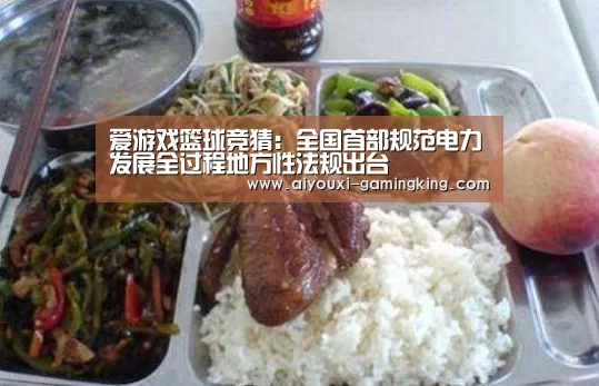 爱游戏篮球竞猜:全国首部规范电力发展全过程地方性法规出台(图2) 爱游戏篮球竞猜