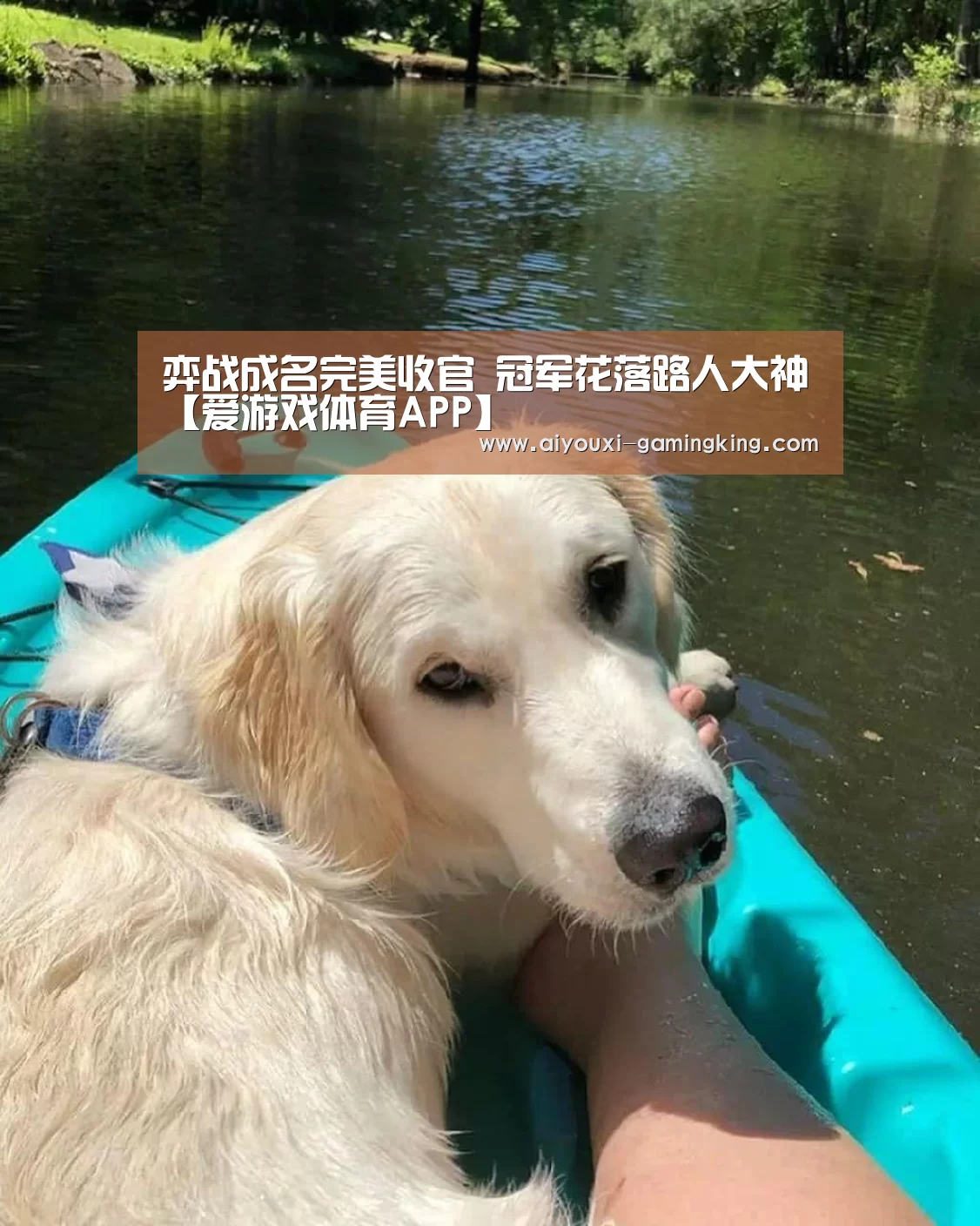 弈战成名完美收官 冠军花落路人大神【爱游戏体育APP】