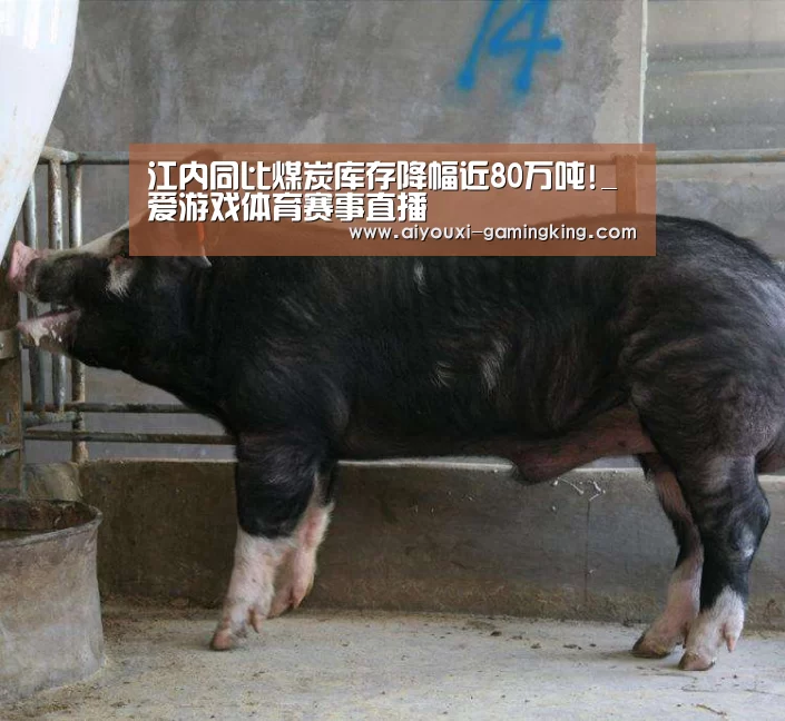 江内同比煤炭库存降幅近80万吨!_爱游戏体育赛事直播(图3) 爱游戏体育赛事直播