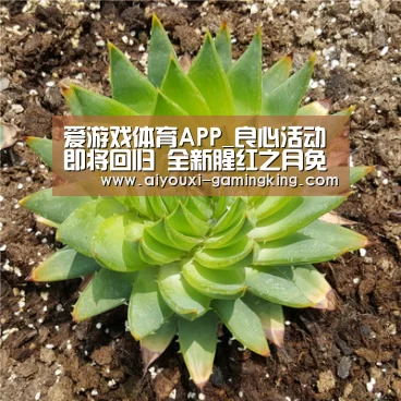 爱游戏体育APP_良心活动即将回归 全新腥红之月免费拿(图3) 爱游戏体育赛事直播