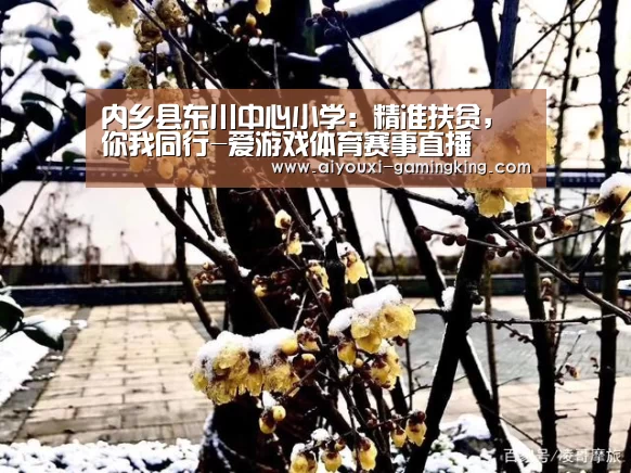 内乡县东川中心小学:精准扶贫,你我同行-爱游戏体育赛事直播(图3) 爱游戏体育APP