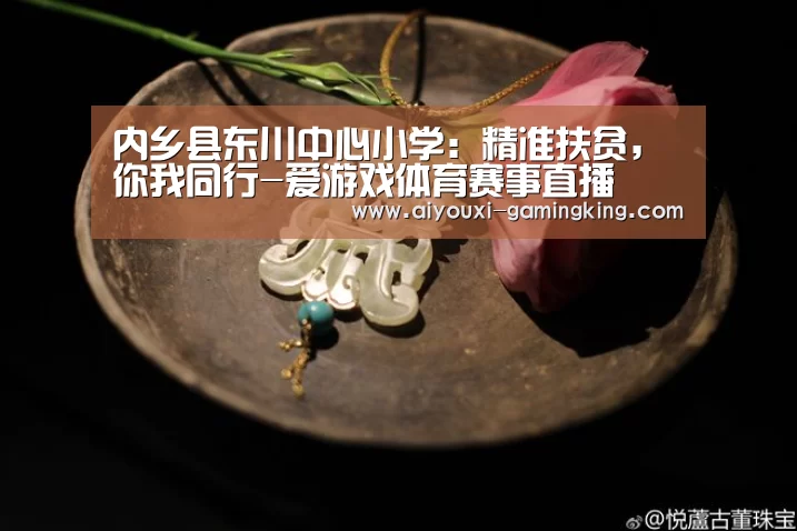 内乡县东川中心小学:精准扶贫,你我同行-爱游戏体育赛事直播(图4) 爱游戏篮球竞猜